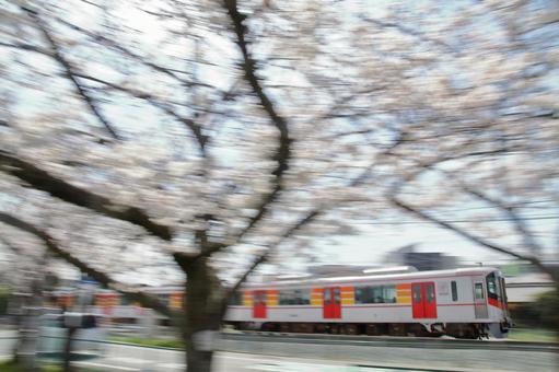 Photo, sanyo electric railway, main line, 6000 series, 