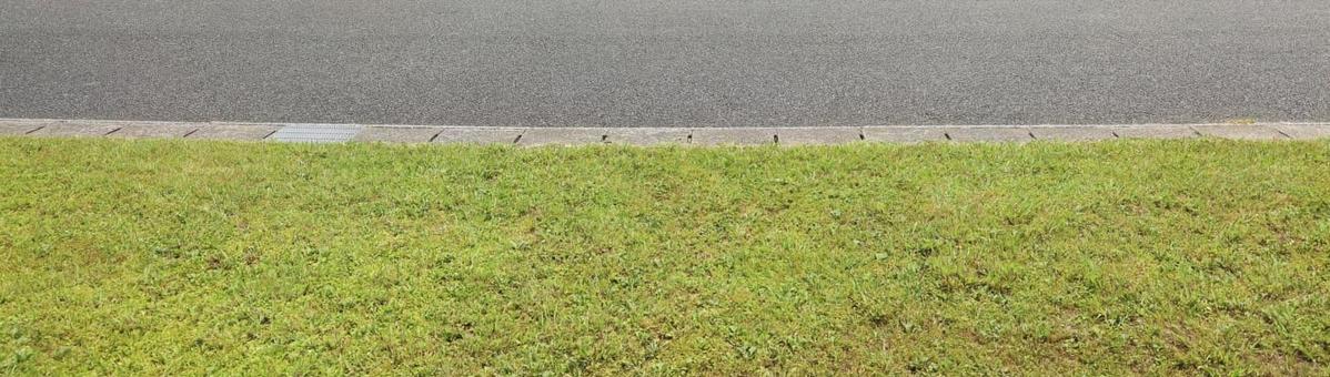 道路と芝生 道路と芝生の写真