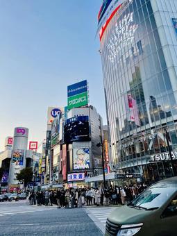 夕方の渋谷スクランブル交差点 夕方の渋谷スクランブル交差点 渋谷,東京,都会の写真素材