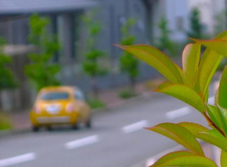 若葉、街並み、イタ車 若葉、街並み、イタ車の写真