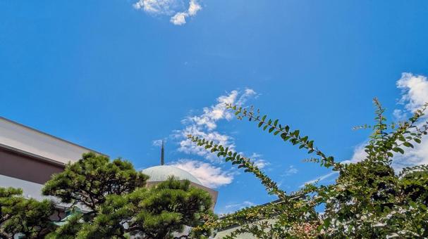 A view of blue skies, pine trees and traditional Japanese architecture, japanese garden, blue sky, building, JPG