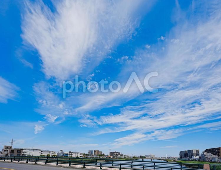 夏空の下の三和橋から見た新中川 真夏,青空,空の写真素材