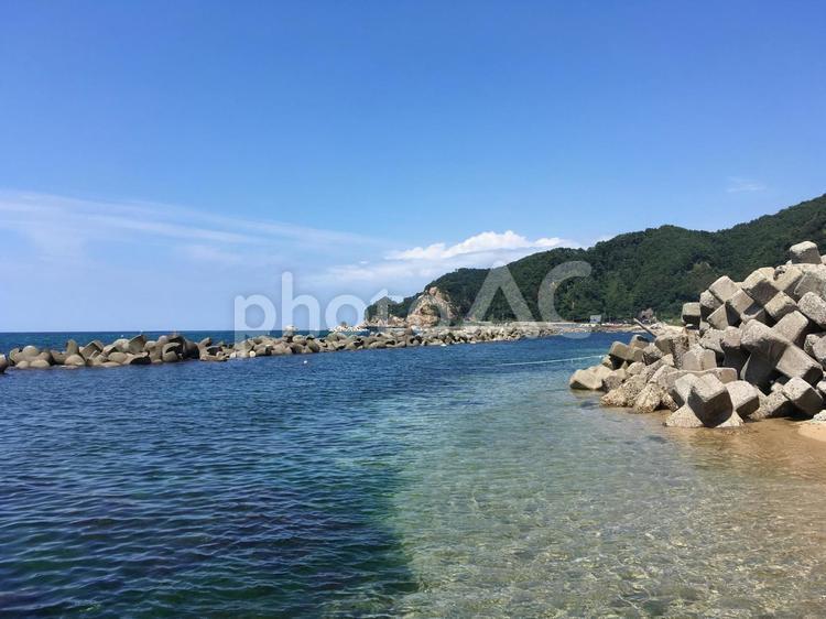 テトラポットとウミネコらしき鳥と船と海 ウミネコ,テトラポット,笹川流れの写真素材