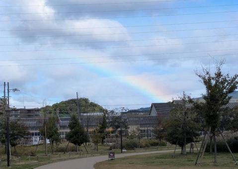 公園で見えた虹 虹,rainbow,公園の写真素材
