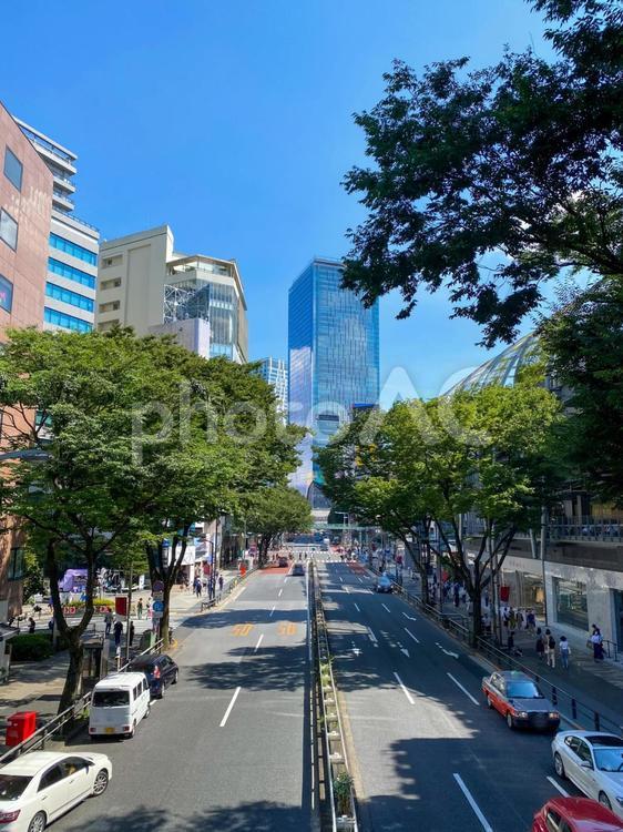 2021年の明治通り　宮下パーク沿い 渋谷,明治通り,大通りの写真素材