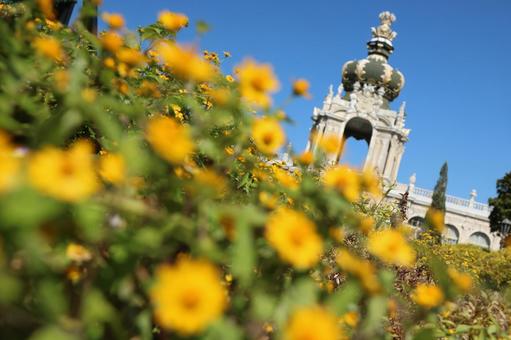 王冠の門と夏色の花々 王冠の門と夏色の花々 ドイツ,黄色い花,海外旅行の写真素材
