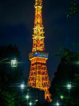 夜空に煌めく東京タワー 東京タワー,夜景,ライトアップの写真素材