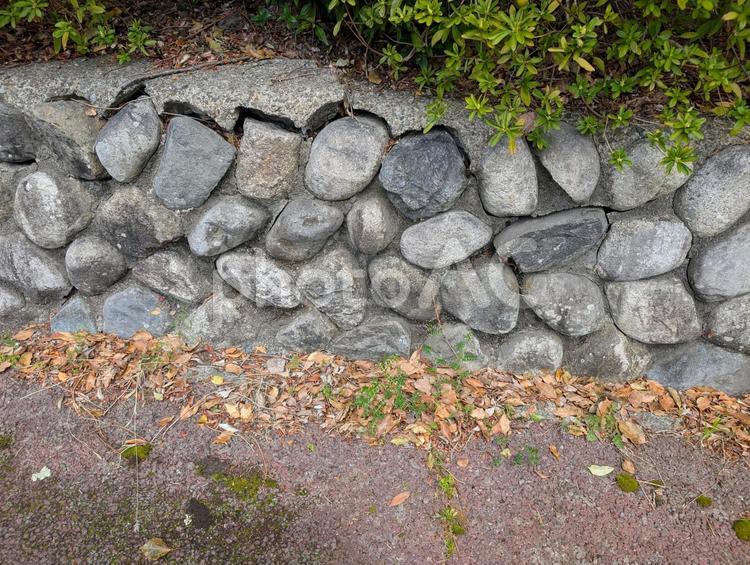 石垣風の植え込みと地面 石垣,植え込み,地面の写真素材