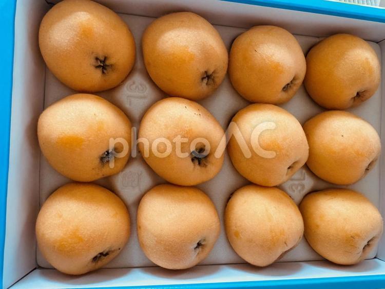 大粒枇杷の箱詰め びわ,枇杷,ビワの写真素材