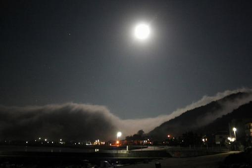 月夜とくも 月夜とくもの写真