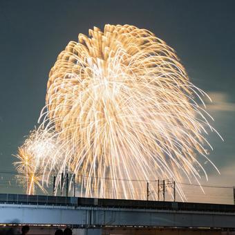 打ち上げ花火 打ち上げ花火 花火,花火大会,夏の写真素材