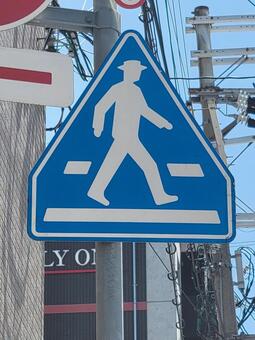 標識 横断歩道 202504(3) 標識,道路標識,本標識の写真素材