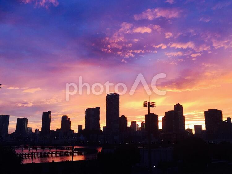 都会の夕暮れ３ 都会,東京,夕焼けの写真素材