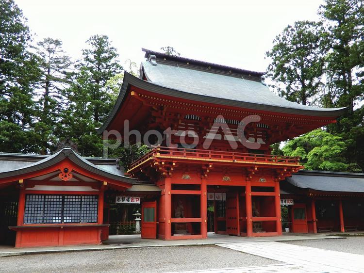 下総国一宮　香取神宮 香取神宮,神社,下総国一宮の写真素材