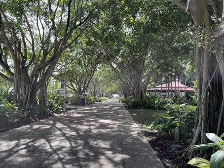 ケアンズ　ストリート ケアンズ,緑道,オーストラリアの写真素材