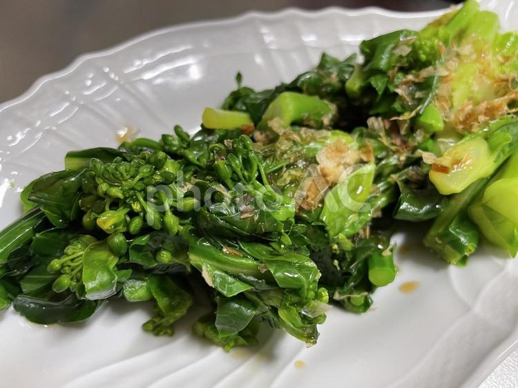 菜の花のおひたし　料理 菜の花,春,花の写真素材