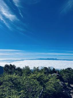 雲海 雲海,雲の上,絶景の写真素材