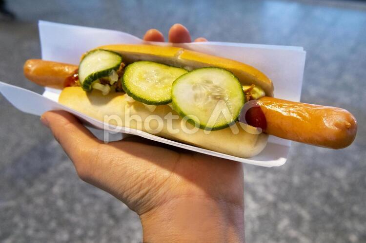 北欧のホットドッグ ホットドッグ,食べ物,ソーセージの写真素材