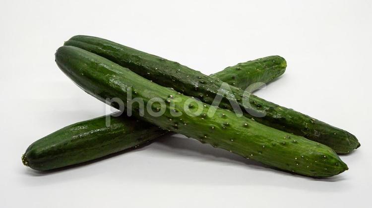 新鮮なきゅうり・白背景で際立つ緑の野菜 きゅうり,キュウリ,野菜の写真素材