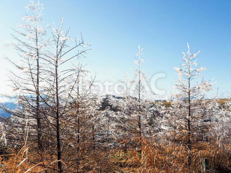 冬の山　日本 冬,雪,霜の写真素材