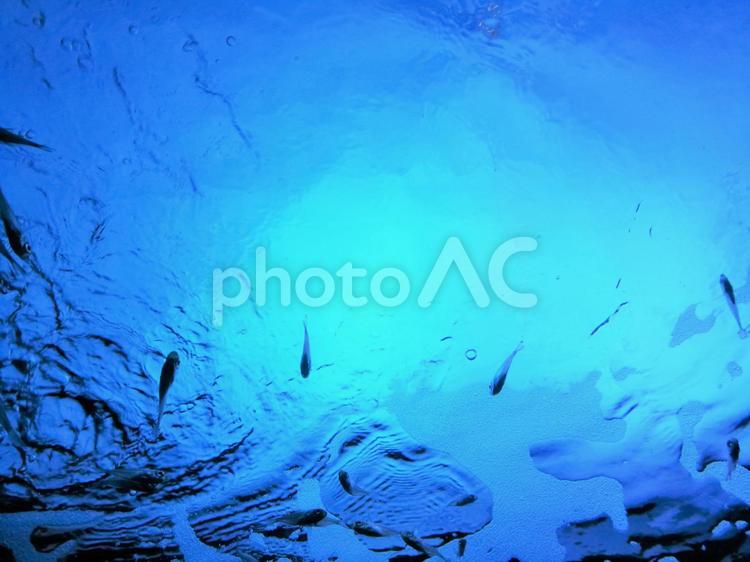 沖縄の青い海の背景／キラキラした水のテクスチャ 背景,テクスチャ,夏の写真素材