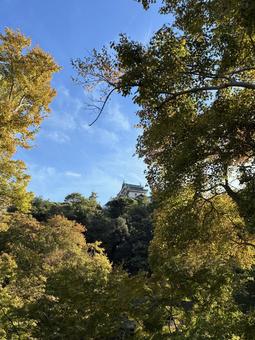 和歌山城の写真