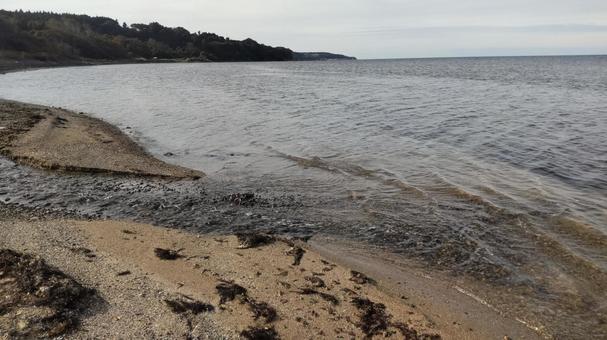 海の流れ込み 海の流れ込み 流れ込み,川,波打ち際の写真素材