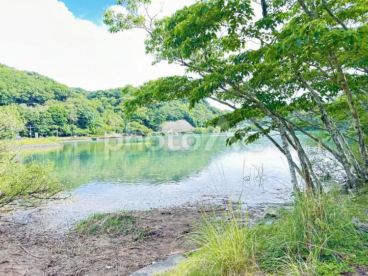 那智勝浦町湯川　自然　春 山,川,那智勝浦町湯川の写真素材