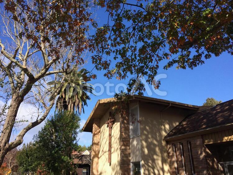 アメリカ　カリフォルニア　サンフランシスコ　教会　風景 アメリカ,カリフォルニア,サンフランシスコの写真素材