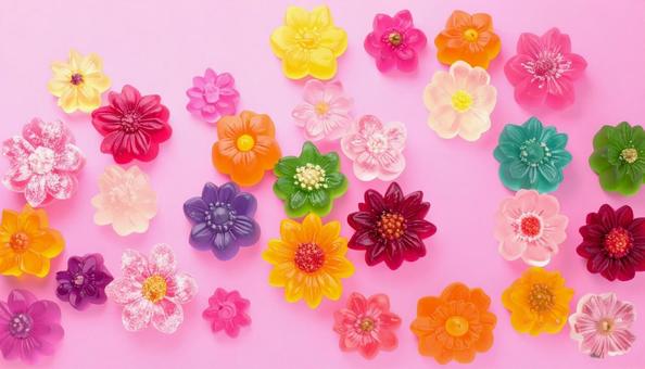 花のピンクのディスプレー 花のピンクのディスプレーの写真