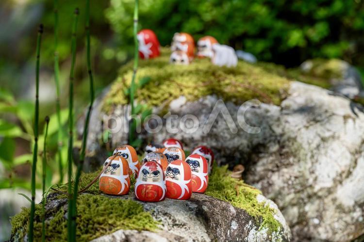 縁起の良いだるまが並ぶ日本の風景 だるま,縁起物,自然の写真素材