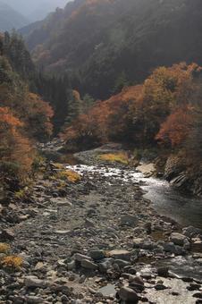 Autumn leaves around Dozan River, Shikoku Chuo City, Ehime Prefecture, JPG Autumn leaves around Dozan River, Shikoku Chuo City, Ehime Prefecture, JPG