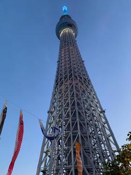 Looking up at the Skytree, JPG Looking up at the Skytree, JPG
