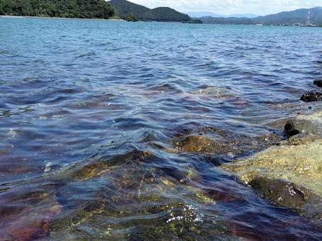 海面 海面の写真