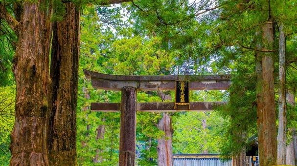 日光東照宮 日光東照宮 日光,東照宮,鳥居の写真素材