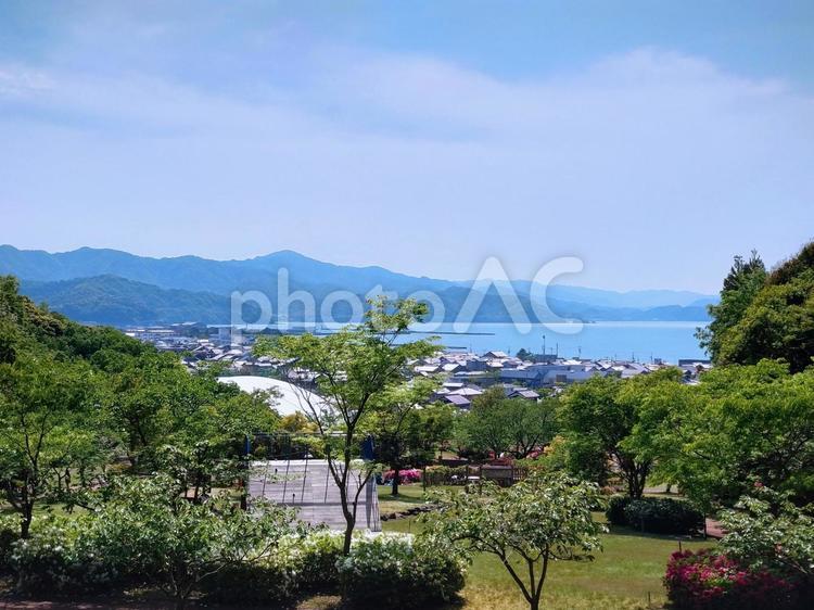 海を臨む公園 新緑,海,公園の写真素材