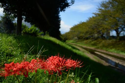風景4 風景4の写真