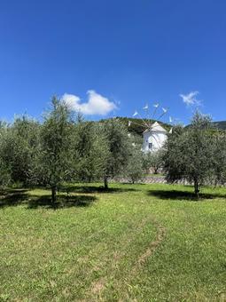 小豆島オリーブ公園ギリシャ風車夏景色1 小豆島オリーブ公園ギリシャ風車夏景色1の写真