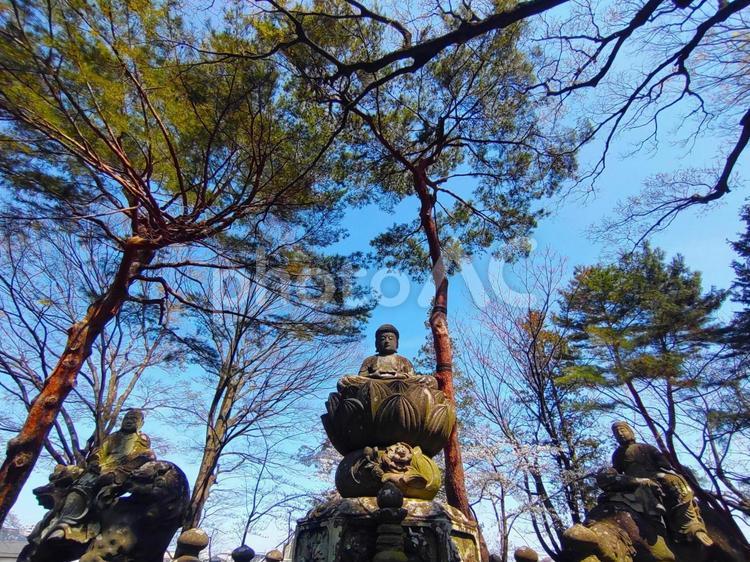 写真素材：埼玉県 川越 五百羅漢像2 喜多院,五百羅漢像,埼玉県の写真素材