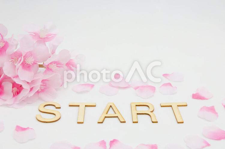 桜の背景にＳＴＡＲＴの文字 新学期,始まり,入学の写真素材