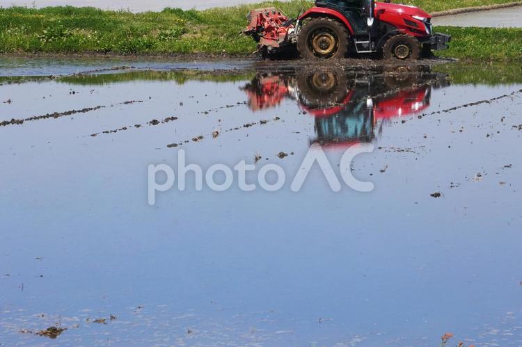 春、水田を耕す耕運機（トラクター） 農業,耕運機,トラクターの写真素材