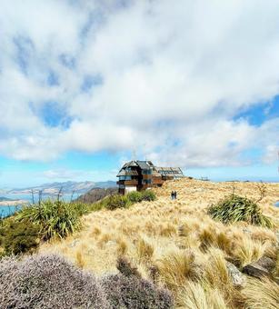 NZクライストチャーチゴンドラ 風景2 NZクライストチャーチゴンドラ 風景2の写真