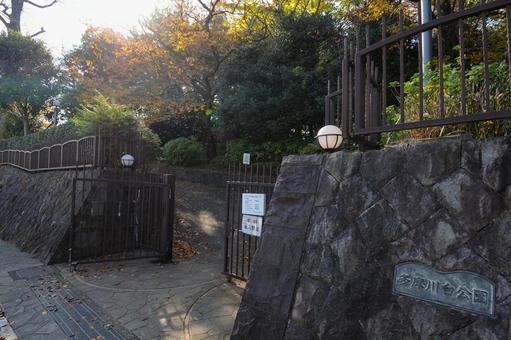 多摩川台公園の入口 多摩川台公園,雑木林,木々の写真素材