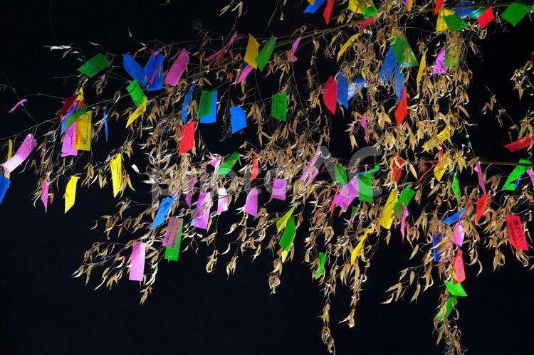 願い事きらめく七夕 夏祭り,伝統,日本の写真素材
