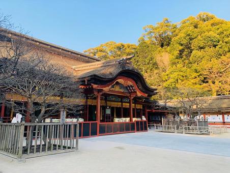 神社本殿と青空 神社,本殿,青空の写真素材