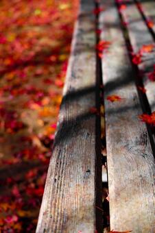 秋の腰かけ 秋,紅葉,もみじの写真素材