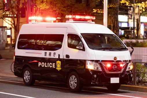 パトカー 車,パトカー,パトロールカーの写真素材