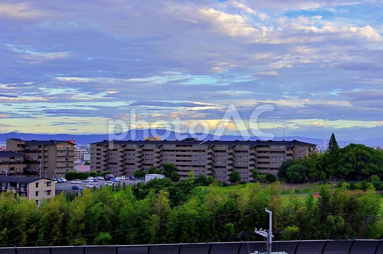 とあるマンション街の夏の夕景 マンション,マンション街,住宅地の写真素材