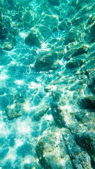 浅瀬のキラキラ 浅瀬のキラキラの写真