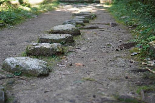 Photo, stepping stone, stone, cobblestone, 